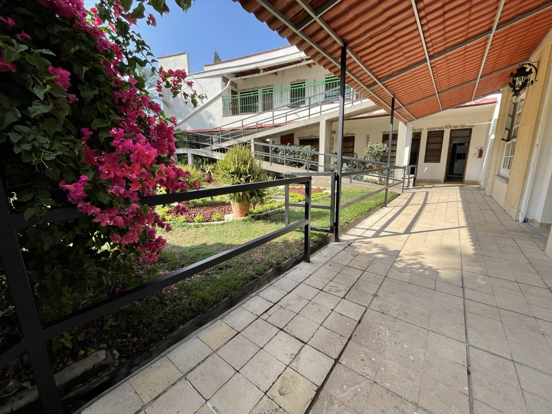 Andador rodeado de buganvilias