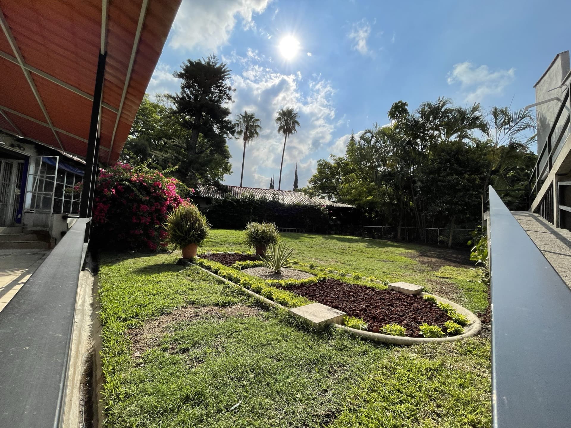 Jardín con palmeras y mucha luz