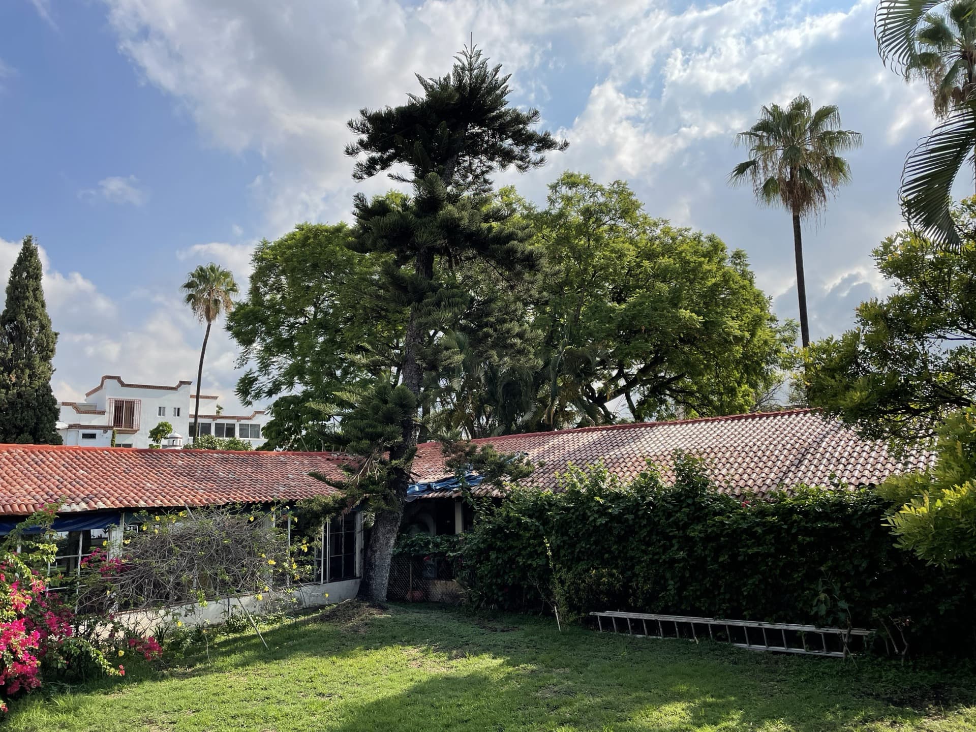 Asilo, residencia geriátrica y estancia de día: diferencias