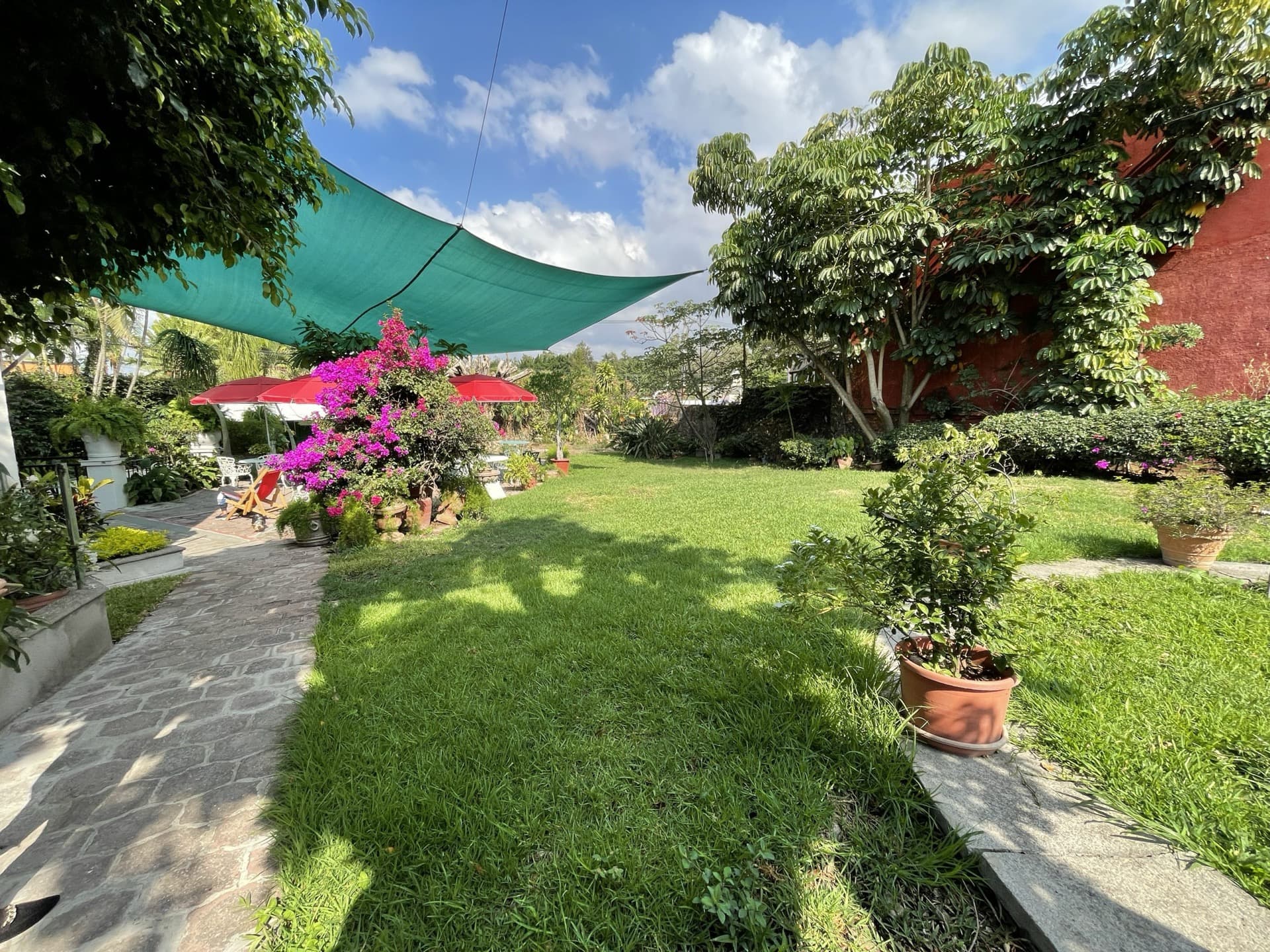 Jardín con áreas de sombra y buganvilias