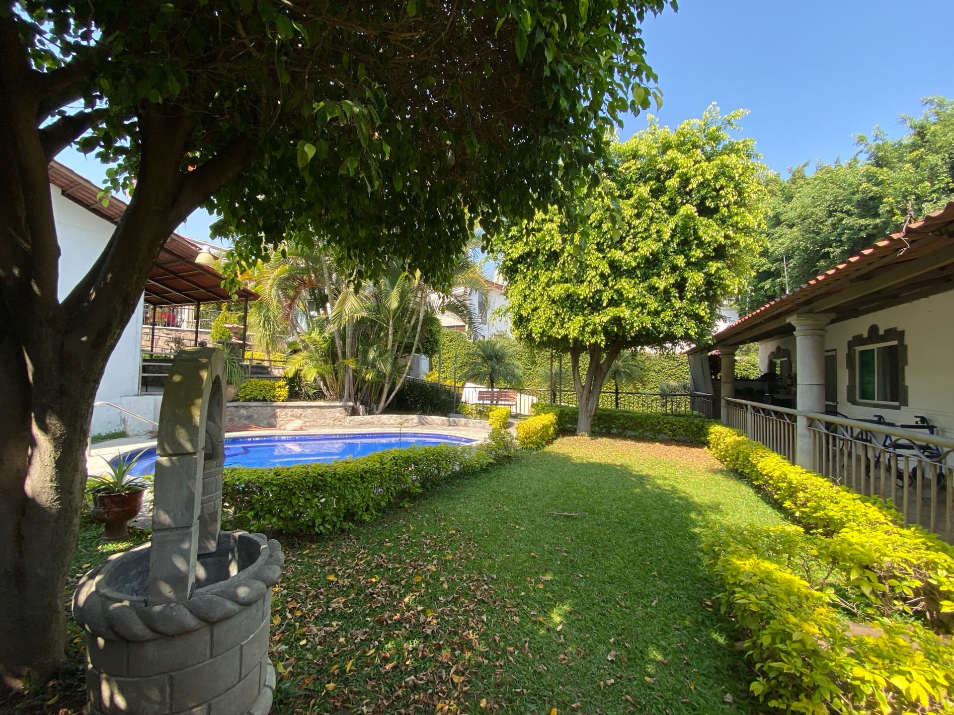 Jardín con alberca y árboles